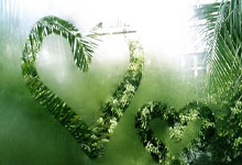 开云APP-直布罗陀岩石阵：欧预赛黑马的逆袭密码