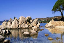 开云体育官网-荣耀之战战略对决一触即发：谁将问鼎巅峰王座？