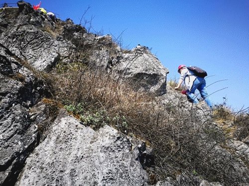 开云体育中国-广西队披荆斩棘，晋级劲敌实现翻盘的简单介绍