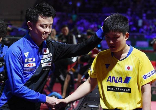 波兰队完胜中国队，张本智和带队取胜