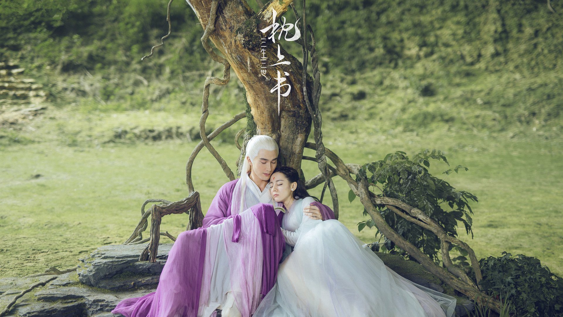 世界排名争夺战之夜，拉亚个人能力的辉煌绽放