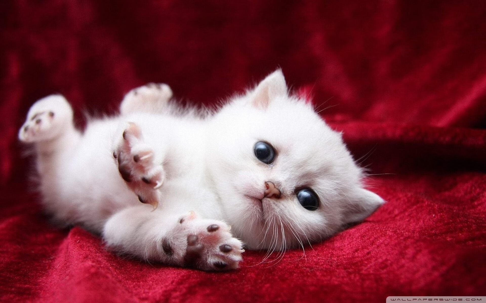 开云体育中国-布雷默进攻端无人可挡，NBA季后赛之夜的传奇