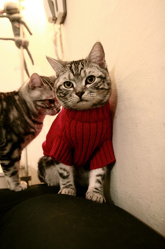 当范乔丹化身真乔丹，勇士险胜尼克斯背后的完美控场艺术