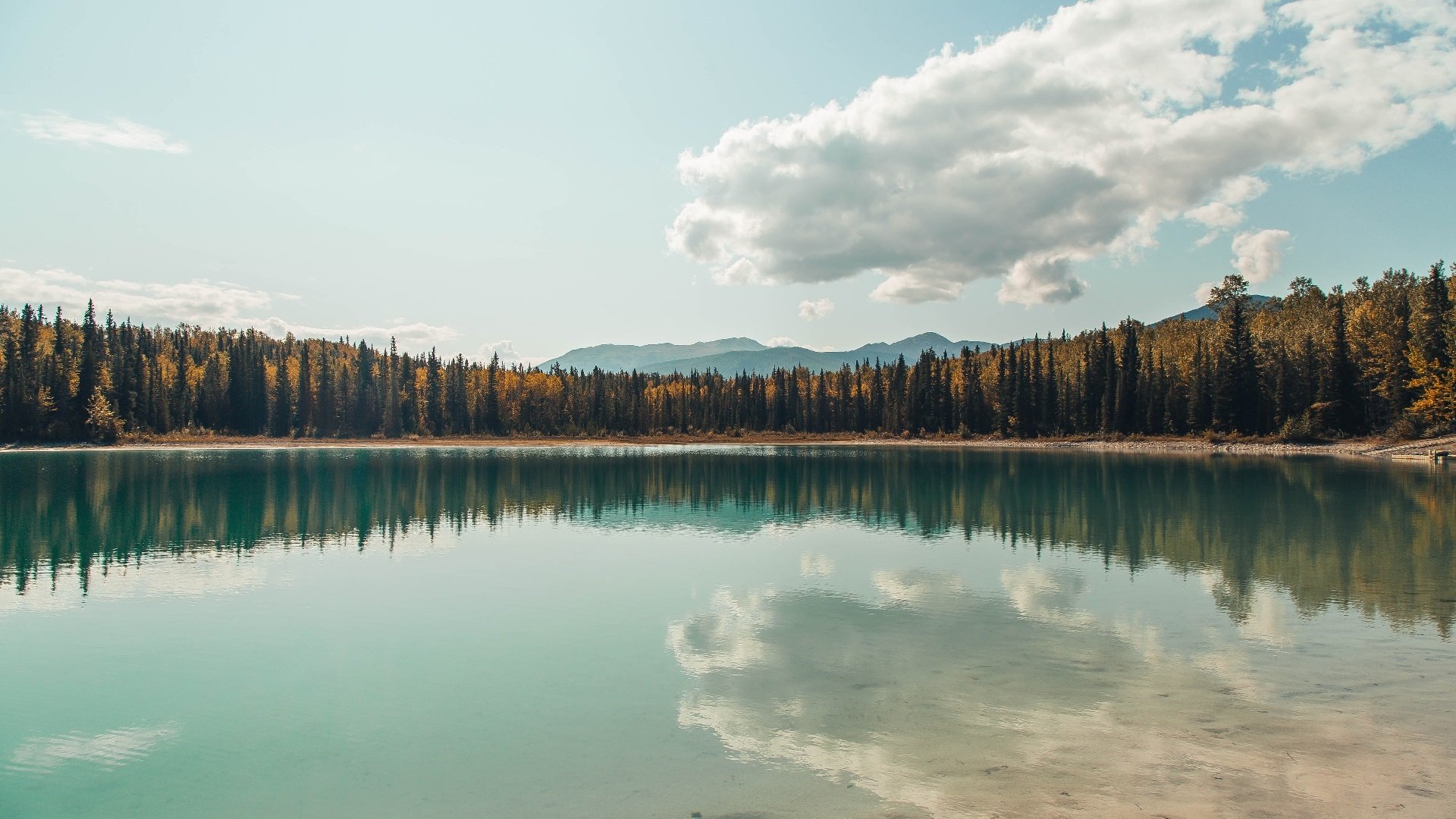 开云体育在线-世界排名争夺战焦点战，苏格兰凯尔特人淘汰尤文图斯，欧战史诗级逆袭