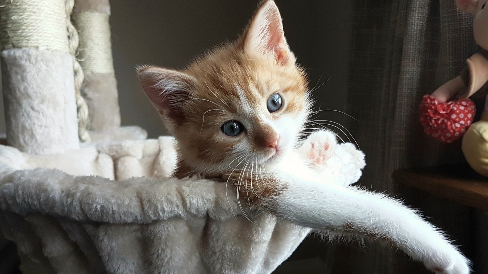 开云下载-奥运周期焦点战，湖人队全面压制吉林队，关键胜利奠定优势