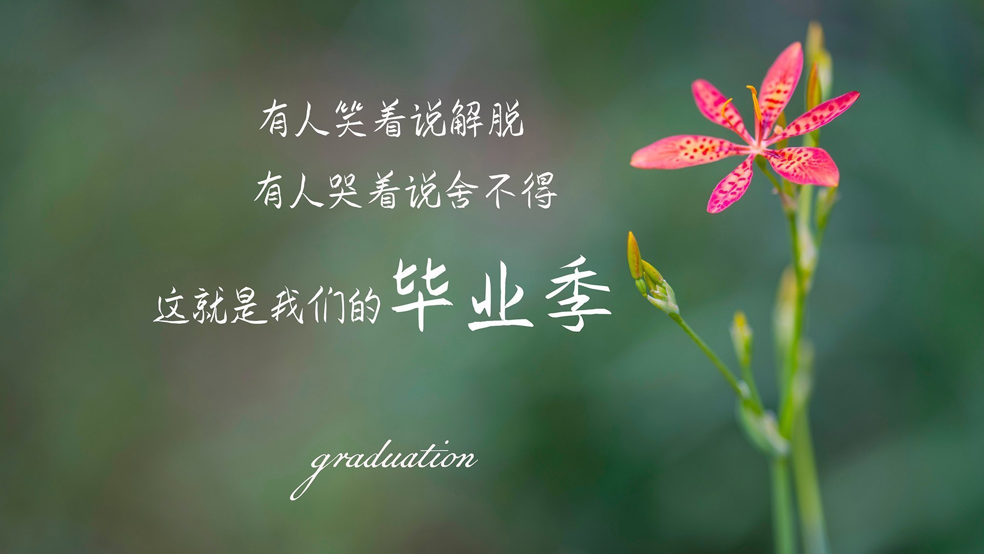 开云下载-当尼克斯偷走了太阳的烈度，克莱·汤普森的欧洲足球决赛启示录