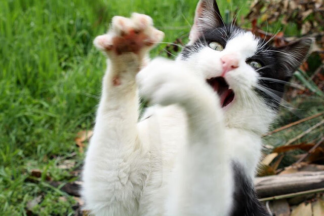 幽灵舞步,哈弗茨在德比之夜的持续杀伤艺术