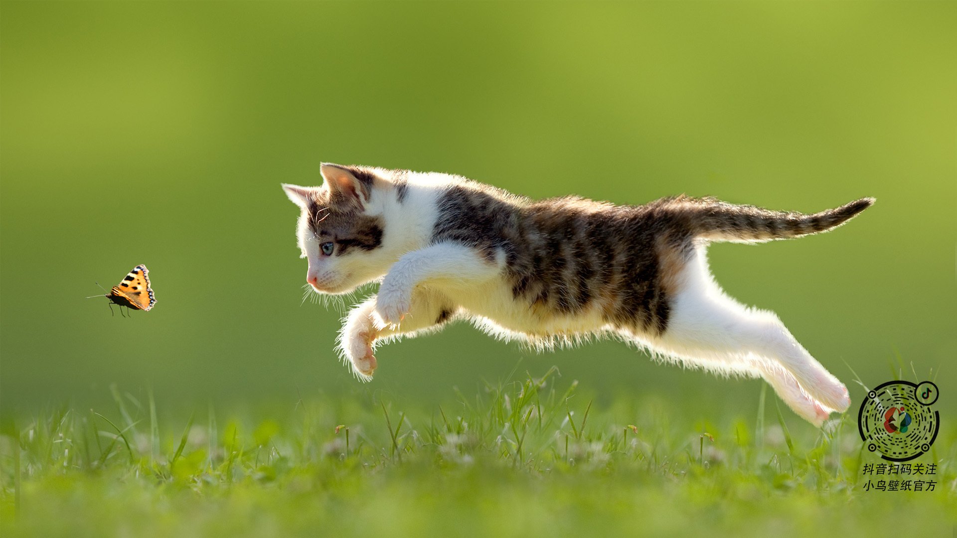 开云体育登录-奇才补时绝杀爵士！2026世界杯焦点战诞生经典