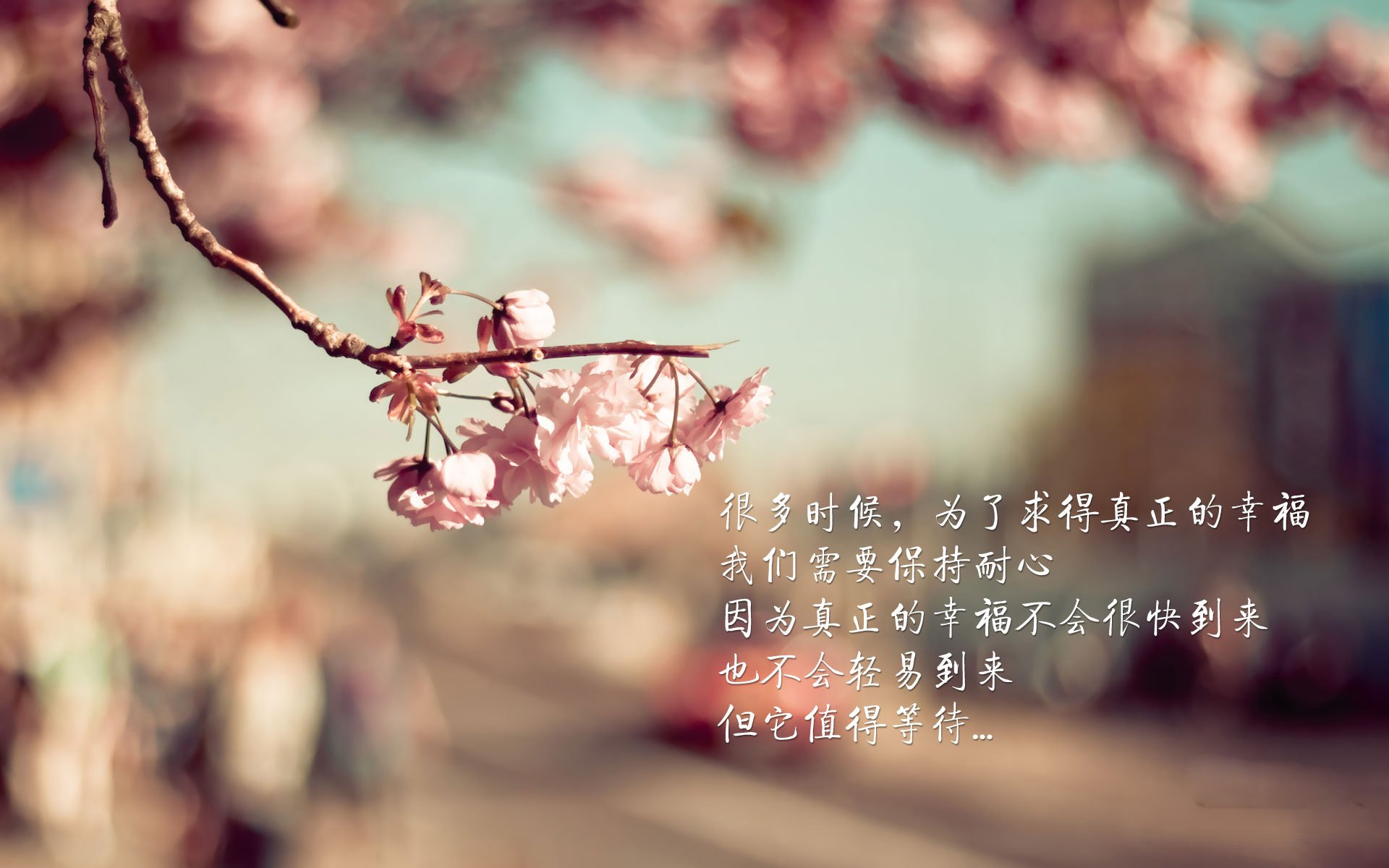 风暴之眼与黑色闪电，克瓦拉茨赫利亚的统治与尼日利亚的末节雷霆