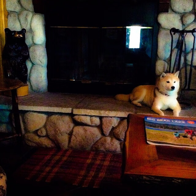 爱德华兹统治全场，魔术队狂胜北京队展现绝对实力