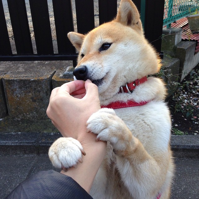 开云官网-世纪之战与北欧阴影，巴萨在国家德比中如何终结瑞典命题