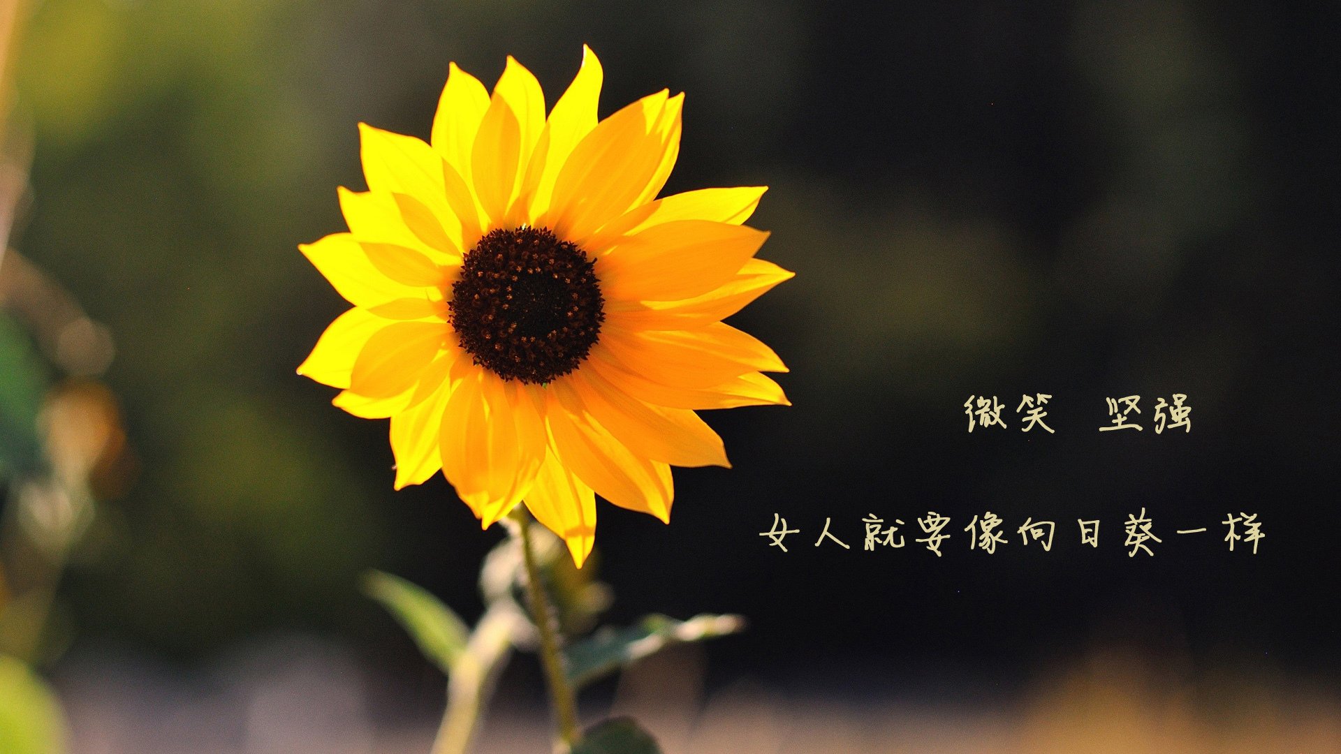 维尼修斯天神下凡！亚特兰大硬仗力克马赛，巴西天才接管排名争夺战