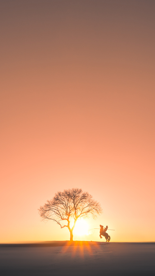 巨塔碾碎洛城，武切维奇的冠军级表现，正为老鹰刻下新图腾