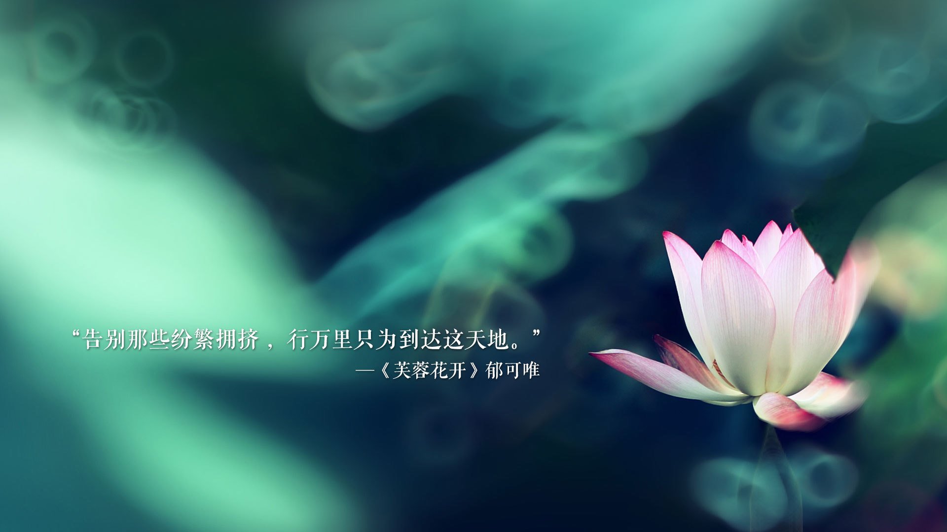 开云APP-北境铁蹄踏破格子军团，芬兰高压逼抢下的世界杯C组生死战