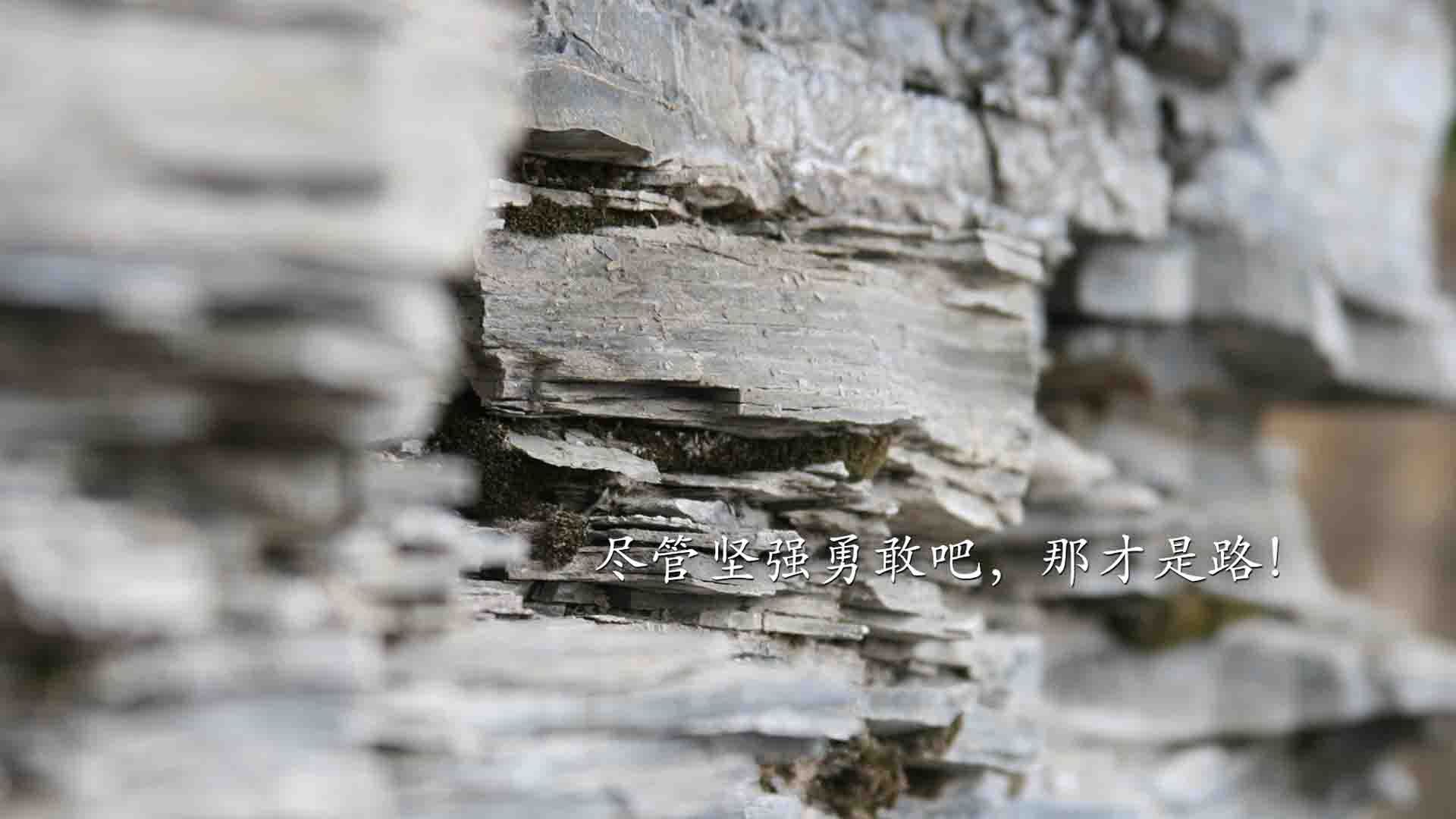开云下载-沙漠之火，逆转乾坤，齐耶赫导演伊朗史诗级翻盘，匈牙利梦碎2026世界杯C组焦点战