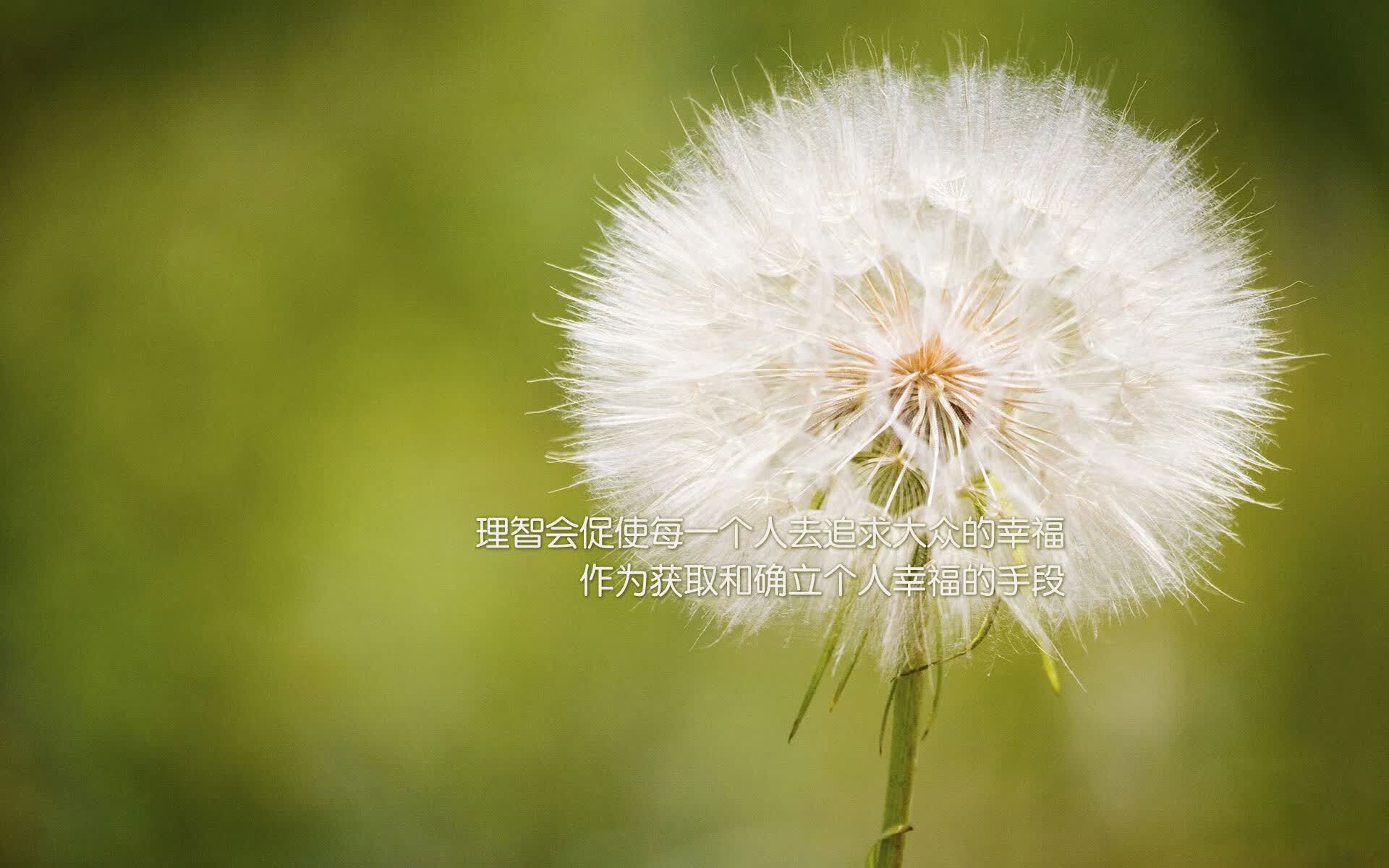 开云体育入口-绝地反击，2026世界杯D组关键战，韩国险胜摩洛哥，穆西亚拉带队取胜
